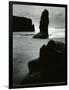 North Coast, California, 1957-Brett Weston-Framed Photographic Print