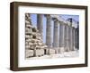 North Colonnade of Parthenon at Acropolis in Athens-null-Framed Premium Giclee Print