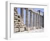 North Colonnade of Parthenon at Acropolis in Athens-null-Framed Premium Giclee Print