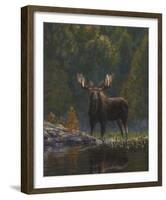 North Country Moose-Bruce Miller-Framed Art Print