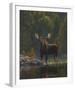 North Country Moose-Bruce Miller-Framed Art Print