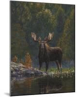 North Country Moose-Bruce Miller-Mounted Art Print