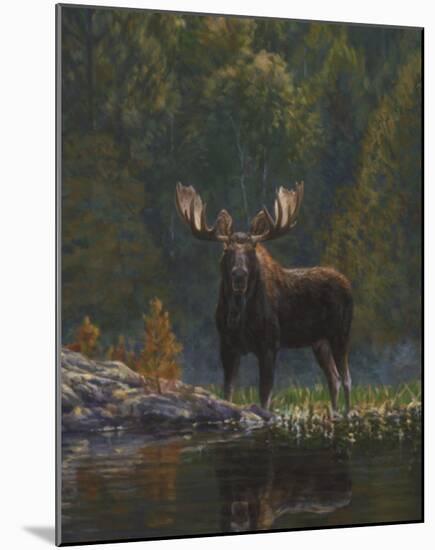 North Country Moose-Bruce Miller-Mounted Art Print