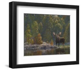 North Country Moose-Bruce Miller-Framed Art Print