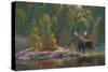 North Country Moose-Bruce Miller-Stretched Canvas