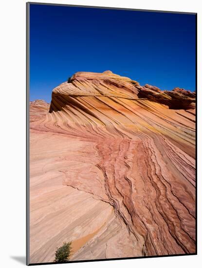 North Coyote Buttes Area known as "The Wave, Vermillion Cliffs National Monument-Timothy Mulholland-Mounted Photographic Print