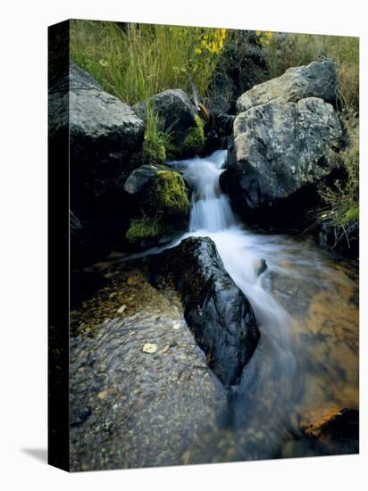 North Creek Tumbles Through Boulders, Schell Creek Range, Mt. Grafton Wilderness, Nevada, USA-Scott T. Smith-Stretched Canvas