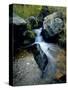 North Creek Tumbles Through Boulders, Schell Creek Range, Mt. Grafton Wilderness, Nevada, USA-Scott T. Smith-Stretched Canvas