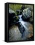 North Creek Tumbles Through Boulders, Schell Creek Range, Mt. Grafton Wilderness, Nevada, USA-Scott T. Smith-Framed Stretched Canvas