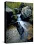 North Creek Tumbles Through Boulders, Schell Creek Range, Mt. Grafton Wilderness, Nevada, USA-Scott T. Smith-Stretched Canvas