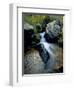 North Creek Tumbles Through Boulders, Schell Creek Range, Mt. Grafton Wilderness, Nevada, USA-Scott T. Smith-Framed Photographic Print