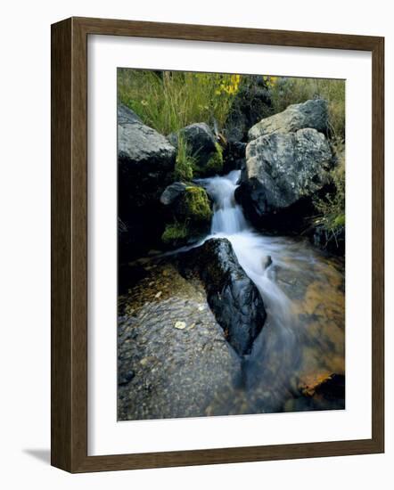 North Creek Tumbles Through Boulders, Schell Creek Range, Mt. Grafton Wilderness, Nevada, USA-Scott T. Smith-Framed Photographic Print