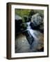 North Creek Tumbles Through Boulders, Schell Creek Range, Mt. Grafton Wilderness, Nevada, USA-Scott T. Smith-Framed Photographic Print