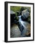 North Creek Tumbles Through Boulders, Schell Creek Range, Mt. Grafton Wilderness, Nevada, USA-Scott T. Smith-Framed Photographic Print