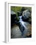 North Creek Tumbles Through Boulders, Schell Creek Range, Mt. Grafton Wilderness, Nevada, USA-Scott T. Smith-Framed Photographic Print