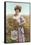 North Dakota Belle, with sickle-null-Framed Stretched Canvas