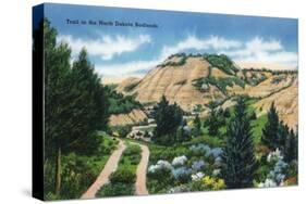 North Dakota, T. Roosevelt National Park View of a Scenic Trail in the Badlands-Lantern Press-Stretched Canvas