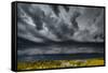 North Dakota, Theodore Roosevelt National Park, Lightening Strike on the Dakota Plains-Judith Zimmerman-Framed Stretched Canvas