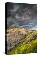 North Dakota, Theodore Roosevelt National Park, Thunderstorm Approach on the Dakota Prairie-Judith Zimmerman-Stretched Canvas