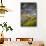 North Dakota, Theodore Roosevelt National Park, Thunderstorm Approach on the Dakota Prairie-Judith Zimmerman-Mounted Premium Photographic Print displayed on a wall