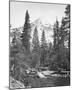 North Dome, 3730 ft., Yosemite-Carleton E Watkins-Mounted Giclee Print