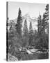North Dome, 3730 ft., Yosemite-Carleton E Watkins-Stretched Canvas