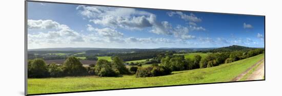 North Downs from Newlands Corner, Nr; Guildford, Surrey, England-Jon Arnold-Mounted Photographic Print