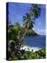 North East Coastline, St. Vincent, Windward Islands, West Indies, Caribbean, Central America-Wood Nick-Stretched Canvas