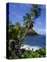 North East Coastline, St. Vincent, Windward Islands, West Indies, Caribbean, Central America-Wood Nick-Stretched Canvas