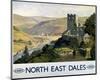 North East Dales-null-Mounted Art Print
