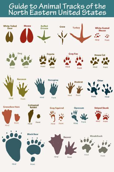 Poster, , large