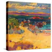 North End, Iona, 2012-Peter Graham-Stretched Canvas