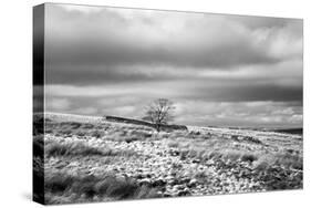 North England Landscape-Mark Sunderland-Stretched Canvas