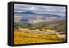 North England Landscape-Mark Sunderland-Framed Stretched Canvas