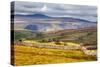 North England Landscape-Mark Sunderland-Stretched Canvas