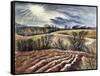 North Essex Landscape 1, c.1949-Isabel Alexander-Framed Stretched Canvas
