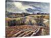 North Essex Landscape 1, c.1949-Isabel Alexander-Stretched Canvas