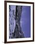 North Face of Eiger Landscape, Switzerland-Michael Brown-Framed Photographic Print