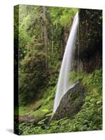 North Falls, Silver Falls State Park, Oregon, USA-Michel Hersen-Stretched Canvas