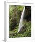North Falls, Silver Falls State Park, Oregon, USA-Michel Hersen-Framed Premium Photographic Print