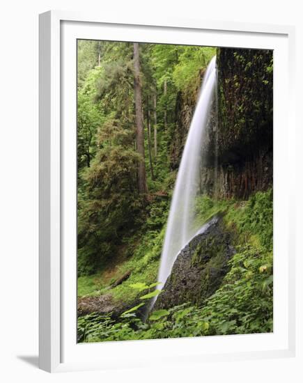 North Falls, Silver Falls State Park, Oregon, USA-Michel Hersen-Framed Premium Photographic Print