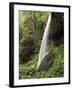 North Falls, Silver Falls State Park, Oregon, USA-Michel Hersen-Framed Premium Photographic Print