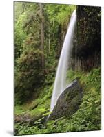 North Falls, Silver Falls State Park, Oregon, USA-Michel Hersen-Mounted Premium Photographic Print