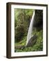 North Falls, Silver Falls State Park, Oregon, USA-Michel Hersen-Framed Photographic Print