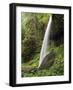 North Falls, Silver Falls State Park, Oregon, USA-Michel Hersen-Framed Photographic Print