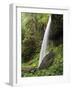 North Falls, Silver Falls State Park, Oregon, USA-Michel Hersen-Framed Photographic Print