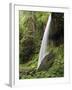 North Falls, Silver Falls State Park, Oregon, USA-Michel Hersen-Framed Photographic Print