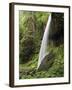 North Falls, Silver Falls State Park, Oregon, USA-Michel Hersen-Framed Photographic Print