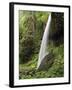 North Falls, Silver Falls State Park, Oregon, USA-Michel Hersen-Framed Photographic Print