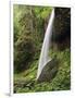 North Falls, Silver Falls State Park, Oregon, USA-Michel Hersen-Framed Photographic Print